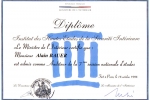 Degree of the National Institute for High Studies in Internal Security (1996)